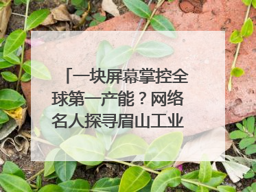 一块屏幕掌控全球第一产能？网络名人探寻眉山工业高质量发展密码｜网络名人四川行