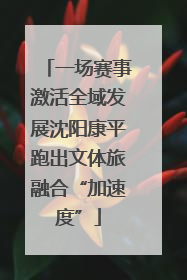 一场赛事激活全域发展沈阳康平跑出文体旅融合“加速度”