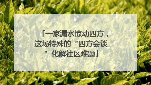 一家漏水惊动四方，这场特殊的“四方会谈”化解社区难题