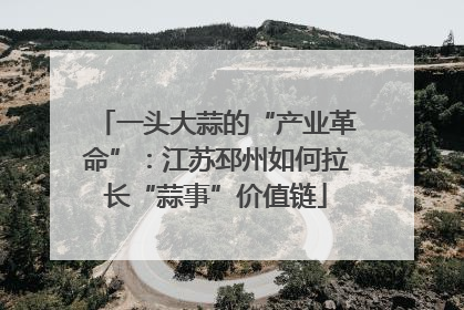 一头大蒜的“产业革命”：江苏邳州如何拉长“蒜事”价值链