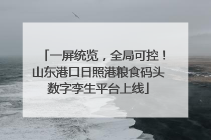 一屏统览，全局可控！山东港口日照港粮食码头数字孪生平台上线