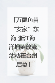 万尾鱼苗“安家”东海 浙江海洋增殖放流活动在台州启幕