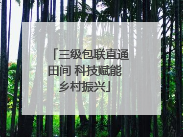 三级包联直通田间 科技赋能乡村振兴