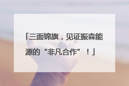 三面锦旗，见证振森能源的“非凡合作”！