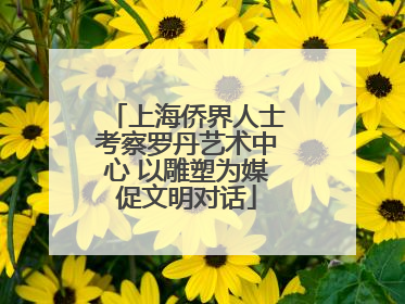 上海侨界人士考察罗丹艺术中心 以雕塑为媒促文明对话