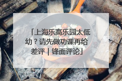 上海乐高乐园太低幼？请先做功课再给差评｜锋面评论