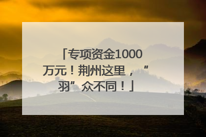 专项资金1000万元！荆州这里，“羽”众不同！