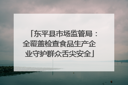 东平县市场监管局：全覆盖检查食品生产企业守护群众舌尖安全