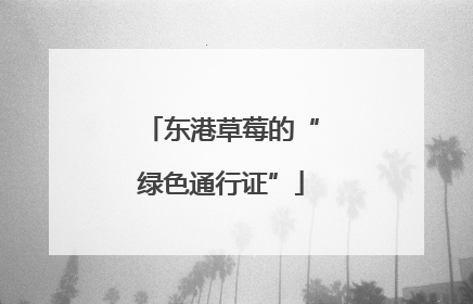 东港草莓的“绿色通行证”