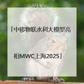 中移物联水利大模型亮相MWC上海2025