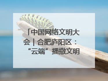 中国网络文明大会｜合肥庐阳区：“云端”播撒文明种子 共建清朗网络空间