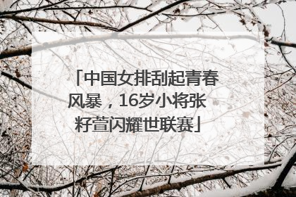中国女排刮起青春风暴，16岁小将张籽萱闪耀世联赛
