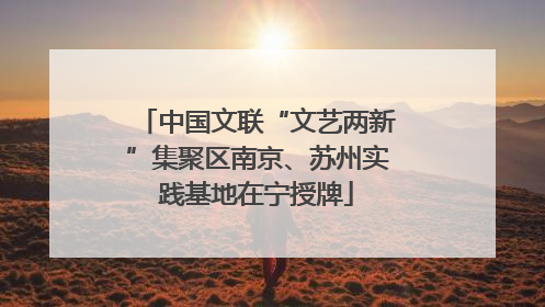 中国文联“文艺两新”集聚区南京、苏州实践基地在宁授牌