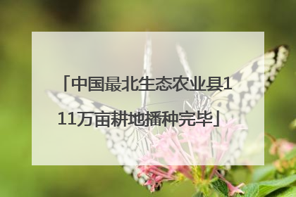 中国最北生态农业县111万亩耕地播种完毕