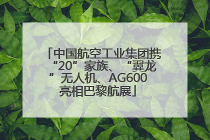 中国航空工业集团携“20”家族、“翼龙”无人机、AG600亮相巴黎航展