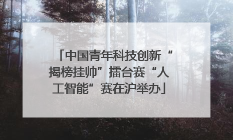 中国青年科技创新“揭榜挂帅”擂台赛“人工智能”赛在沪举办