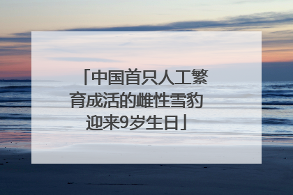 中国首只人工繁育成活的雌性雪豹迎来9岁生日