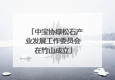 中宝协绿松石产业发展工作委员会在竹山成立