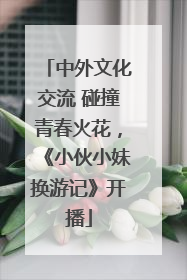 中外文化交流 碰撞青春火花，《小伙小妹换游记》开播