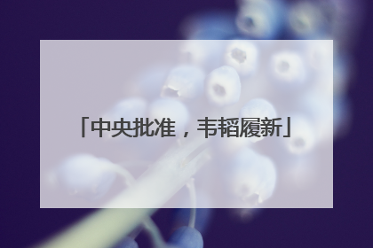 中央批准，韦韬履新