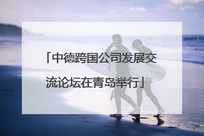 中德跨国公司发展交流论坛在青岛举行