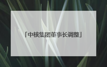 中核集团董事长调整