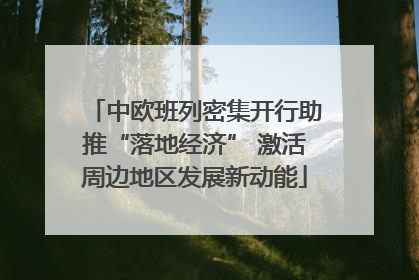 中欧班列密集开行助推“落地经济” 激活周边地区发展新动能