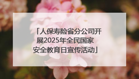 人保寿险省分公司开展2025年全民国家安全教育日宣传活动