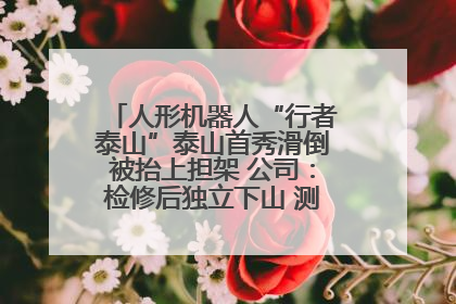 人形机器人“行者泰山”泰山首秀滑倒被抬上担架 公司：检修后独立下山 测试就是为暴露问题
