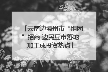 云南边境州市“组团”招商 边民互市落地加工成投资热点