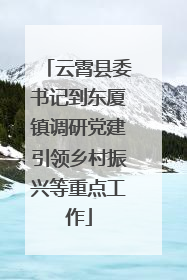 云霄县委书记到东厦镇调研党建引领乡村振兴等重点工作