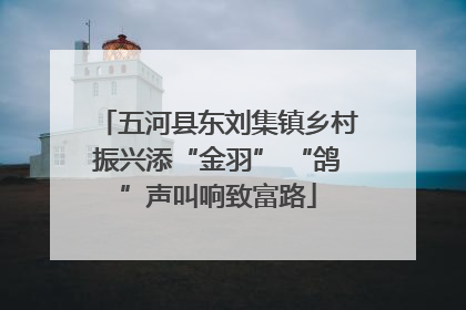 五河县东刘集镇乡村振兴添“金羽” “鸽”声叫响致富路