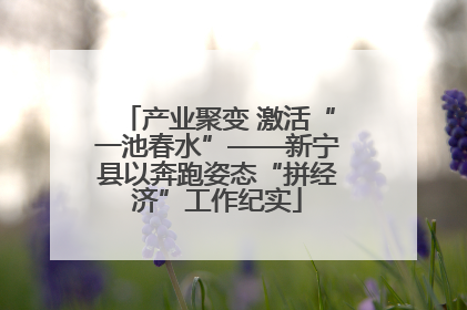 产业聚变 激活“一池春水”——新宁县以奔跑姿态“拼经济”工作纪实