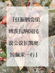 任振鹤会见博茨瓦纳国民议会议长凯奥拉佩采一行