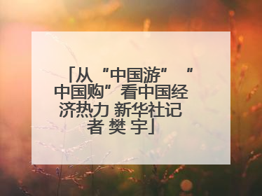 从“中国游”“中国购”看中国经济热力 新华社记者 樊 宇