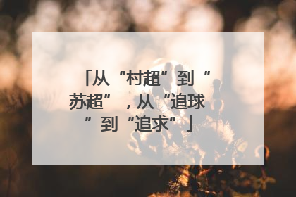 从“村超”到“苏超”，从“追球”到“追求”