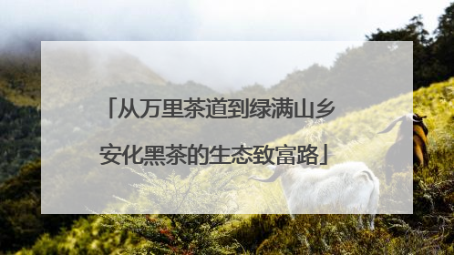 从万里茶道到绿满山乡 安化黑茶的生态致富路