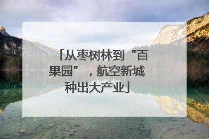 从枣树林到“百果园”，航空新城种出大产业