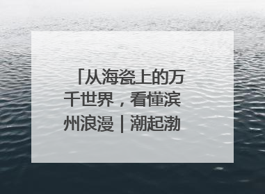 从海瓷上的万千世界，看懂滨州浪漫｜潮起渤海・网聚黄蓝
