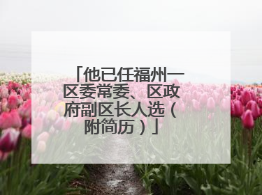 他已任福州一区委常委、区政府副区长人选（附简历）