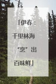 伊春：千里林海“烹”出百味鲜