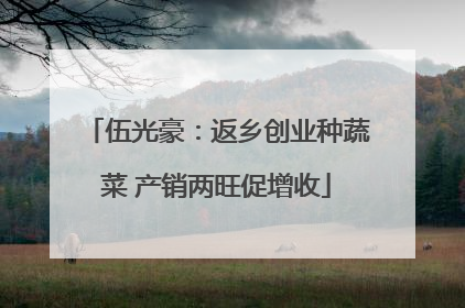 伍光豪：返乡创业种蔬菜 产销两旺促增收