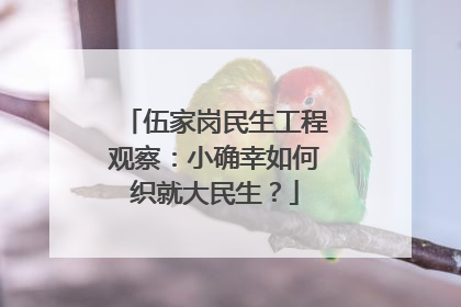 伍家岗民生工程观察：小确幸如何织就大民生？