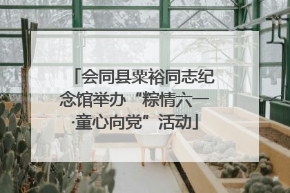 会同县粟裕同志纪念馆举办“粽情六一·童心向党”活动