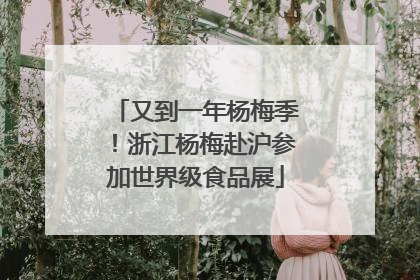 又到一年杨梅季！浙江杨梅赴沪参加世界级食品展
