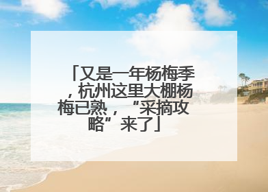 又是一年杨梅季，杭州这里大棚杨梅已熟，“采摘攻略”来了