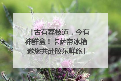 古有荔枝道，今有神鲜盒！卡萨帝冰箱邀您共赴胶东鲜旅