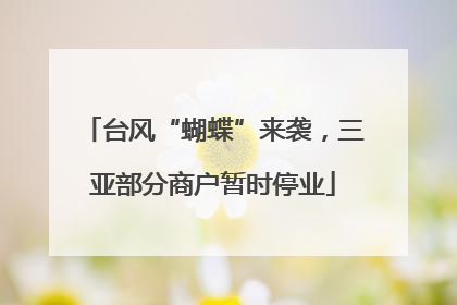 台风“蝴蝶”来袭，三亚部分商户暂时停业