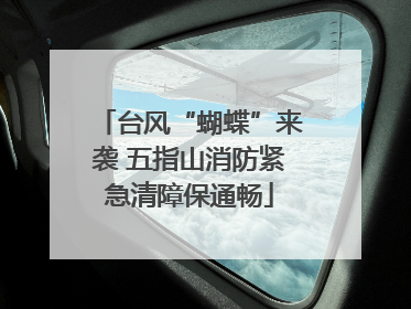 台风“蝴蝶”来袭 五指山消防紧急清障保通畅