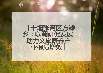 十堰张湾区方滩乡：以调研促发展 助力文旅康养产业提质增效